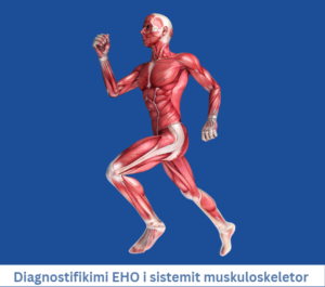 	Diagnostifikimi EHO i sistemit muskuloskeletor